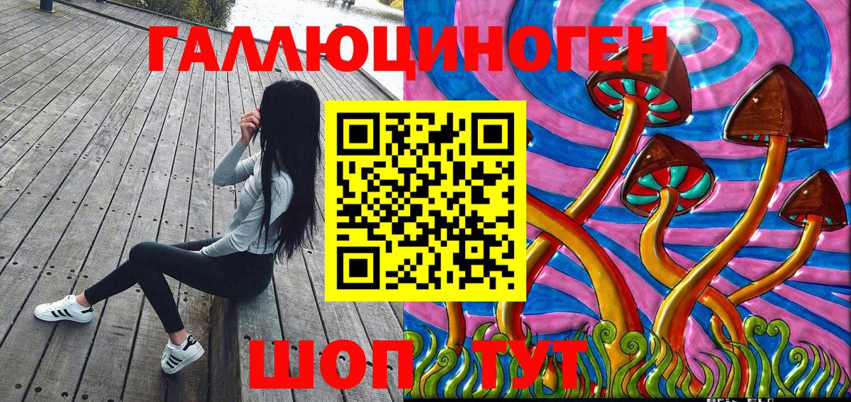 Псилоцибиновые грибы Cubensis  Будённовск 