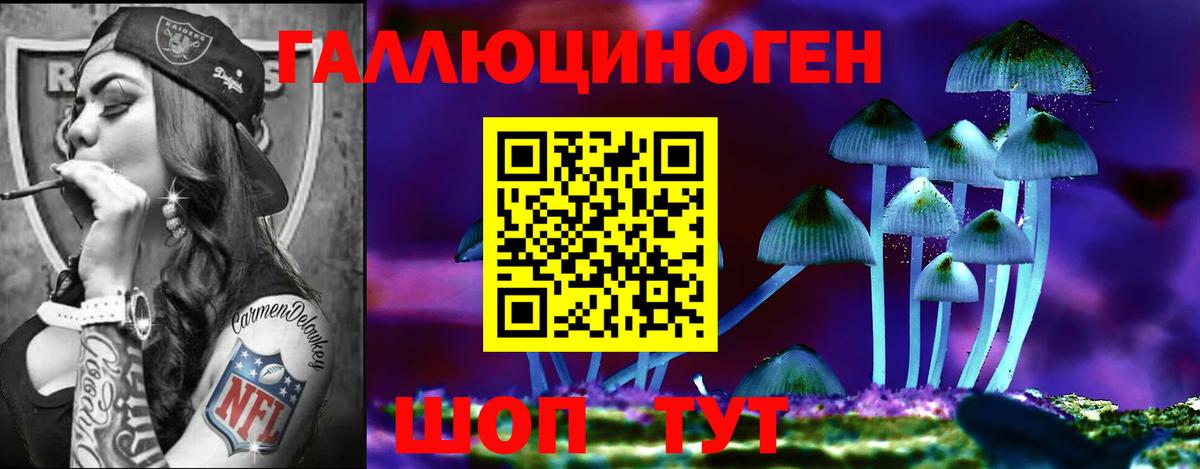 Будённовск  наркота  Вход с VPN  Галлюциногенные грибы Psilocybine cubensis 