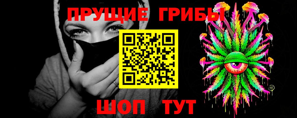 Галлюциногенные грибы прущие грибы Будённовск