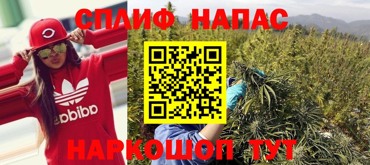 Бошки марихуана ГИДРОПОН  Вход с VPN  Марихуана Bruce Banner  Канабис конопля  Бошки марихуана конопля  Будённовск 
